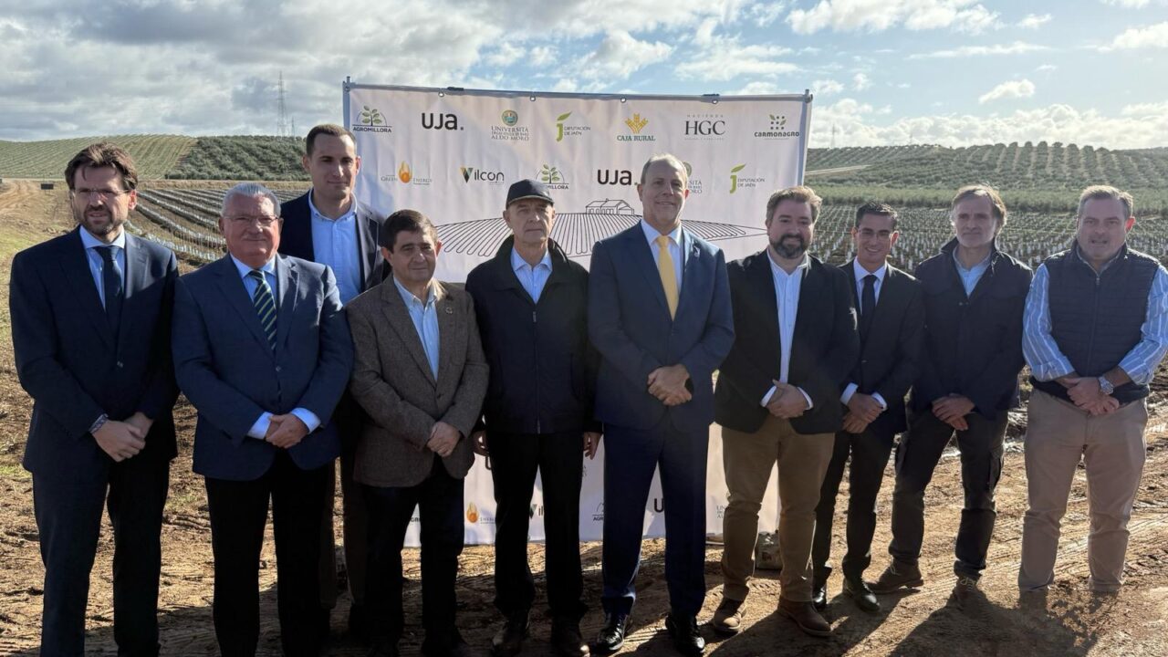 Caja Rural de Jaén y Diputación impulsan junto a la Universidad de Jaén un proyecto internacional para transformar el olivar y consolidar el liderazgo mundial de Jaén en el aceite de oliva