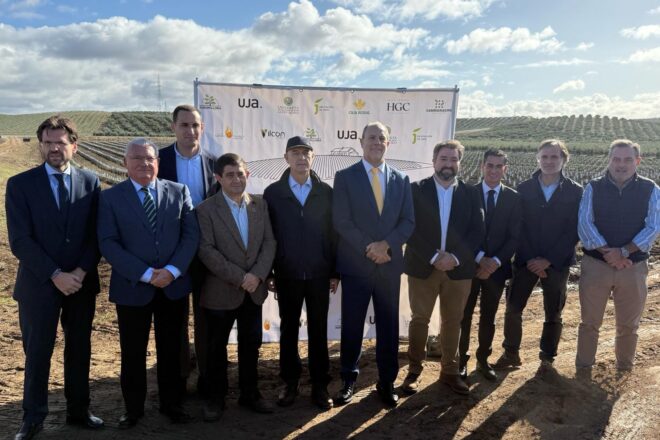 Caja Rural de Jaén y Diputación impulsan junto a la Universidad de Jaén un proyecto internacional para transformar el olivar y consolidar el liderazgo mundial de Jaén en el aceite de oliva