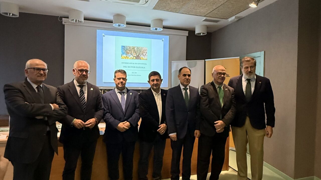 Presentación del Informe Anual de Coyuntura del Sector Oleícola 2025: análisis riguroso para un sector clave en Jaén