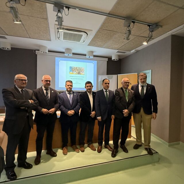 Presentación del Informe Anual de Coyuntura del Sector Oleícola 2025: análisis riguroso para un sector clave en Jaén